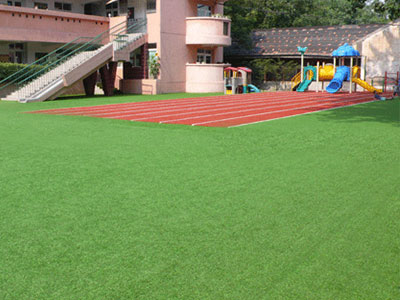 幼儿园专用草坪